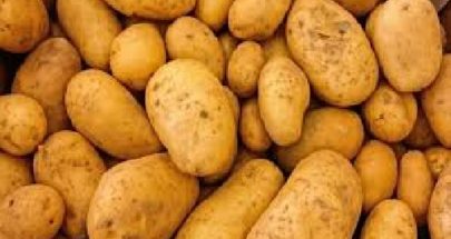 مصر.. إيقاف شركات عن تصدير البطاطا لروسيا وأوروبا image