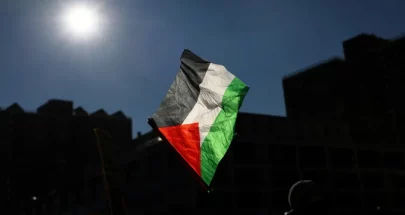 فلسطين تطلب عقد جلسة طارئة لمجلس الأمن image