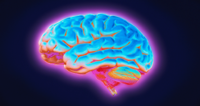 دراسة: الدماغ يحاول التنبؤ بالتجارب المستقبلية عند النوم image