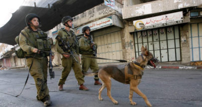 ما هي مهمة وحدة "عوكتس" للكلاب العسكرية بالجيش الإسرائيلي؟ image