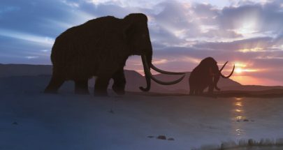 حل لغز سبب انقراض الحيوانات الضخمة قبل 50 ألف سنة image